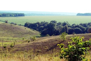 Купить землю под застройку в Волынской области