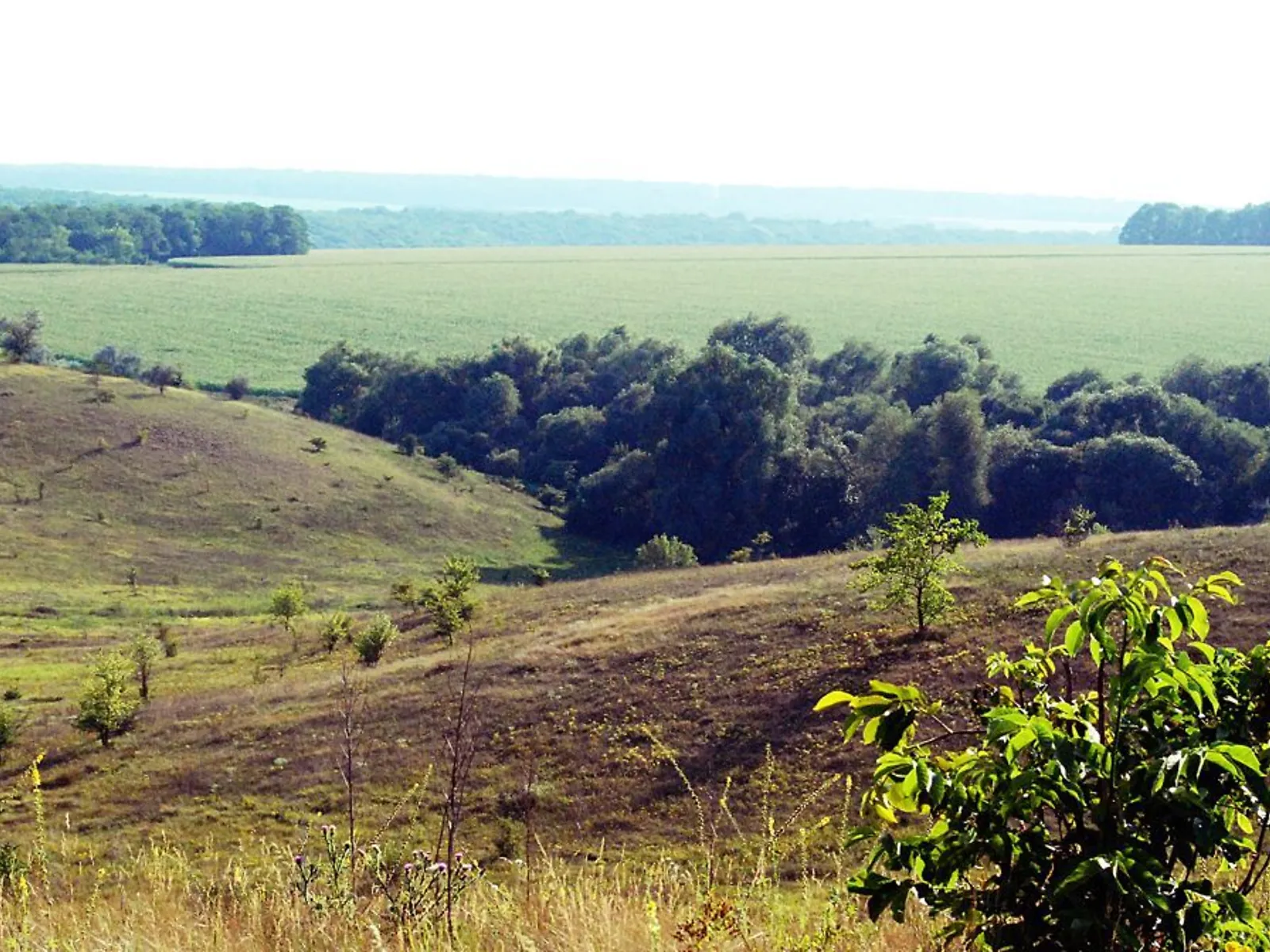 Продается земельный участок 34 соток в Волынской области, цена: 15000 $