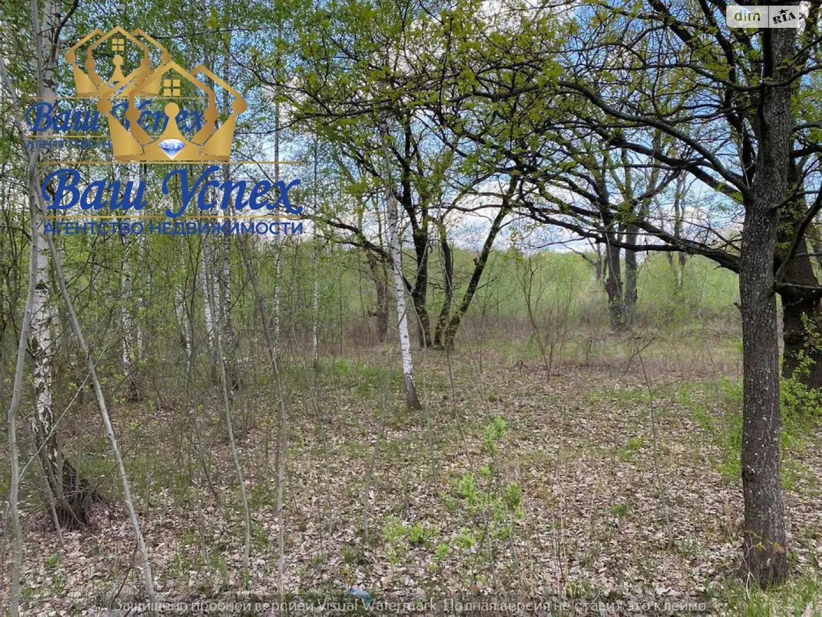 Продается земельный участок 75 соток в Киевской области - фото 2
