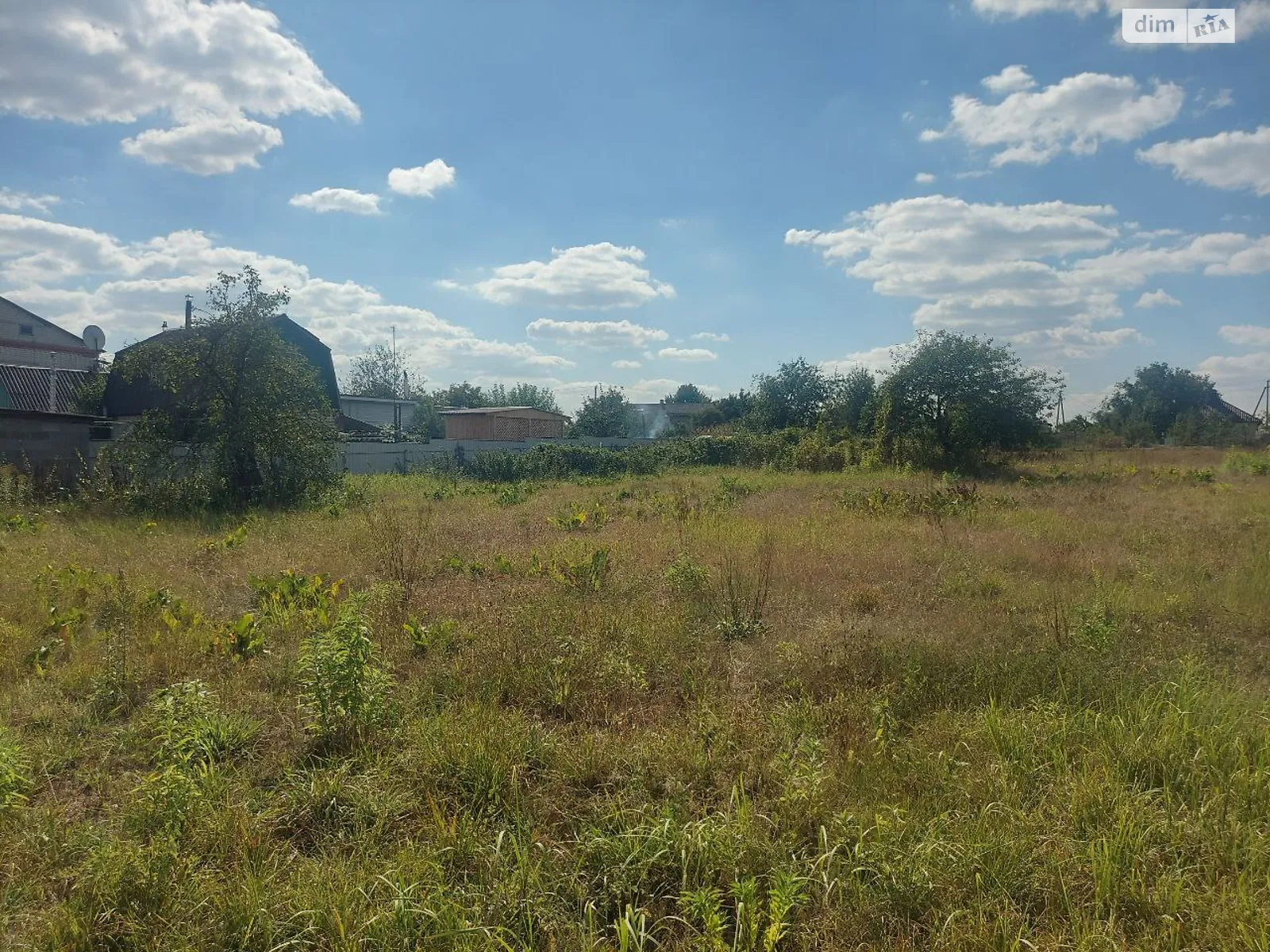 Продается земельный участок 38.1 соток в Житомирской области - фото 2