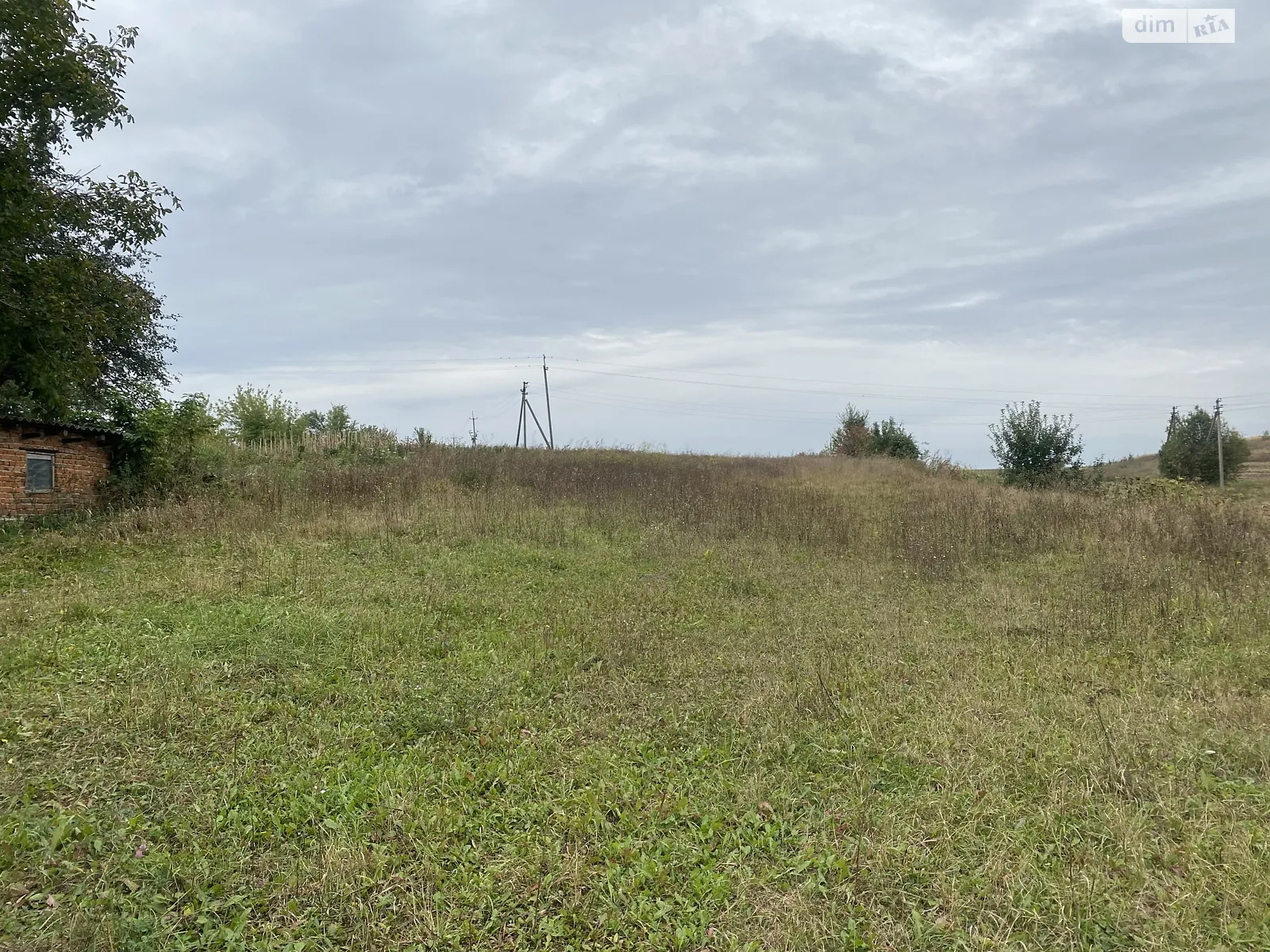 Продается земельный участок 40 соток в Тернопольской области - фото 2