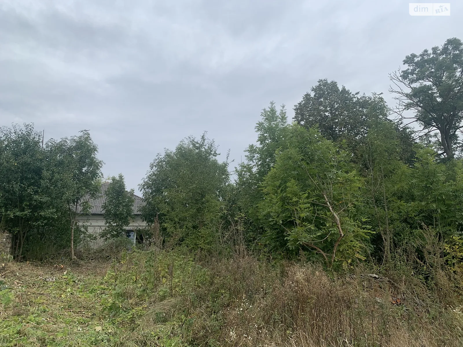 Продается земельный участок 40 соток в Тернопольской области - фото 3