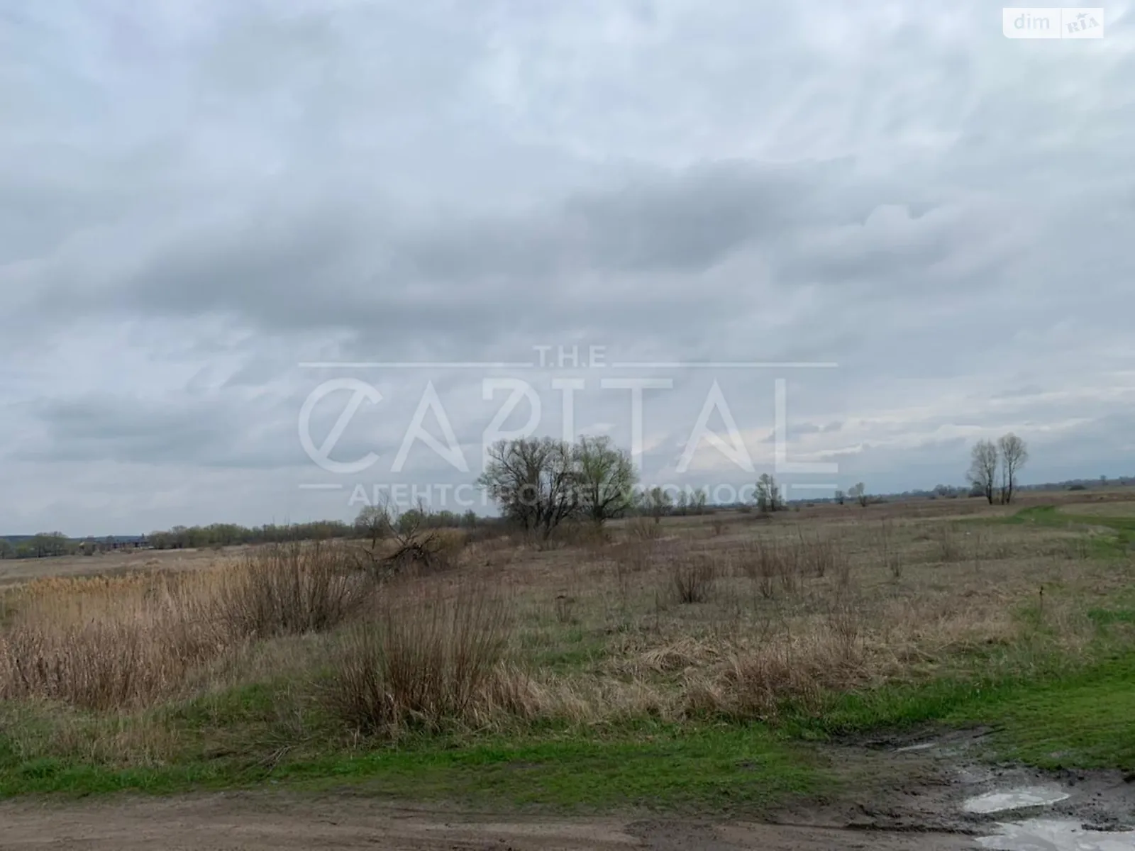 Продается земельный участок 160 соток в Киевской области - фото 2