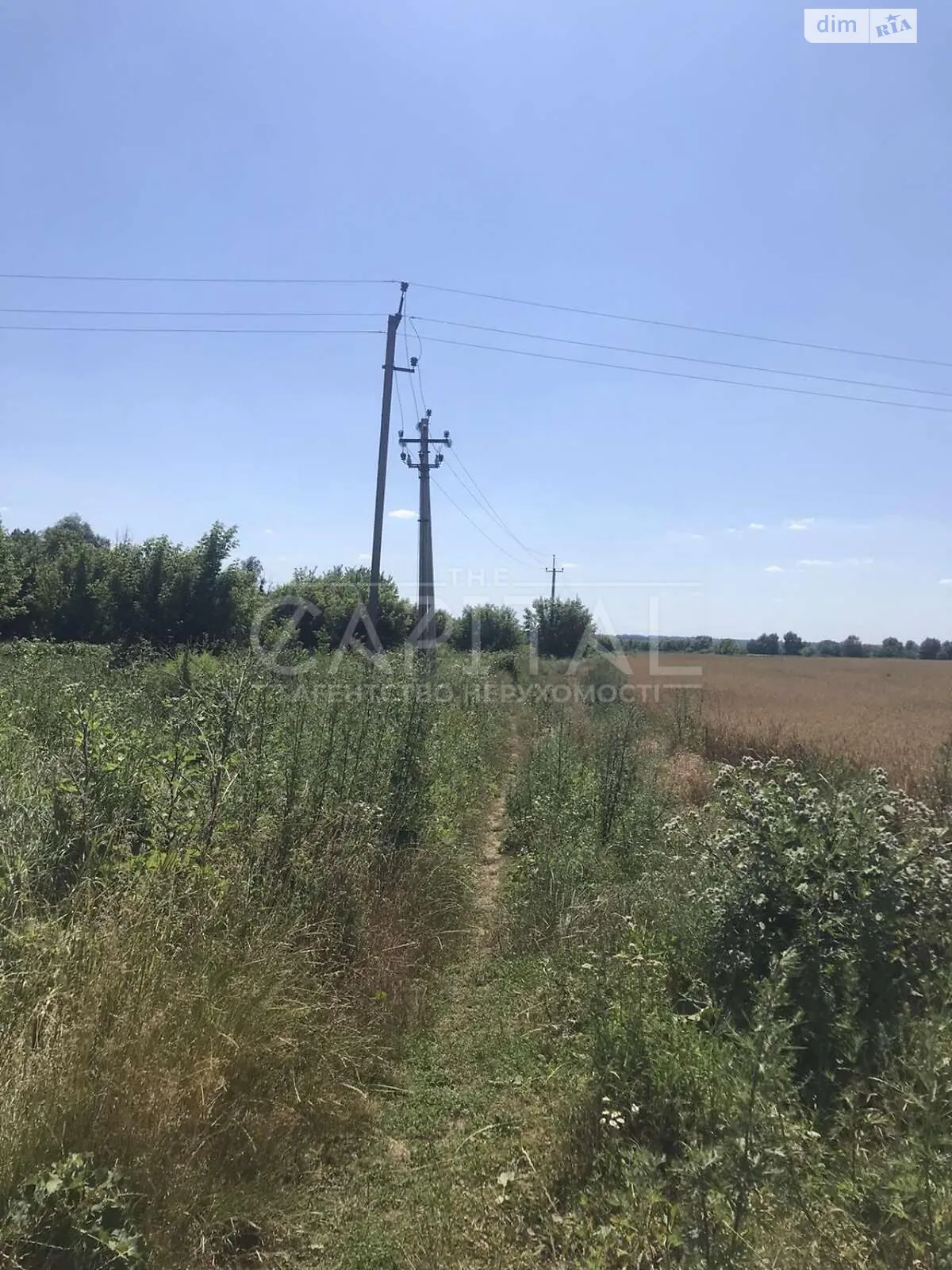 Продается земельный участок 150 соток в Киевской области, цена: 300000 $