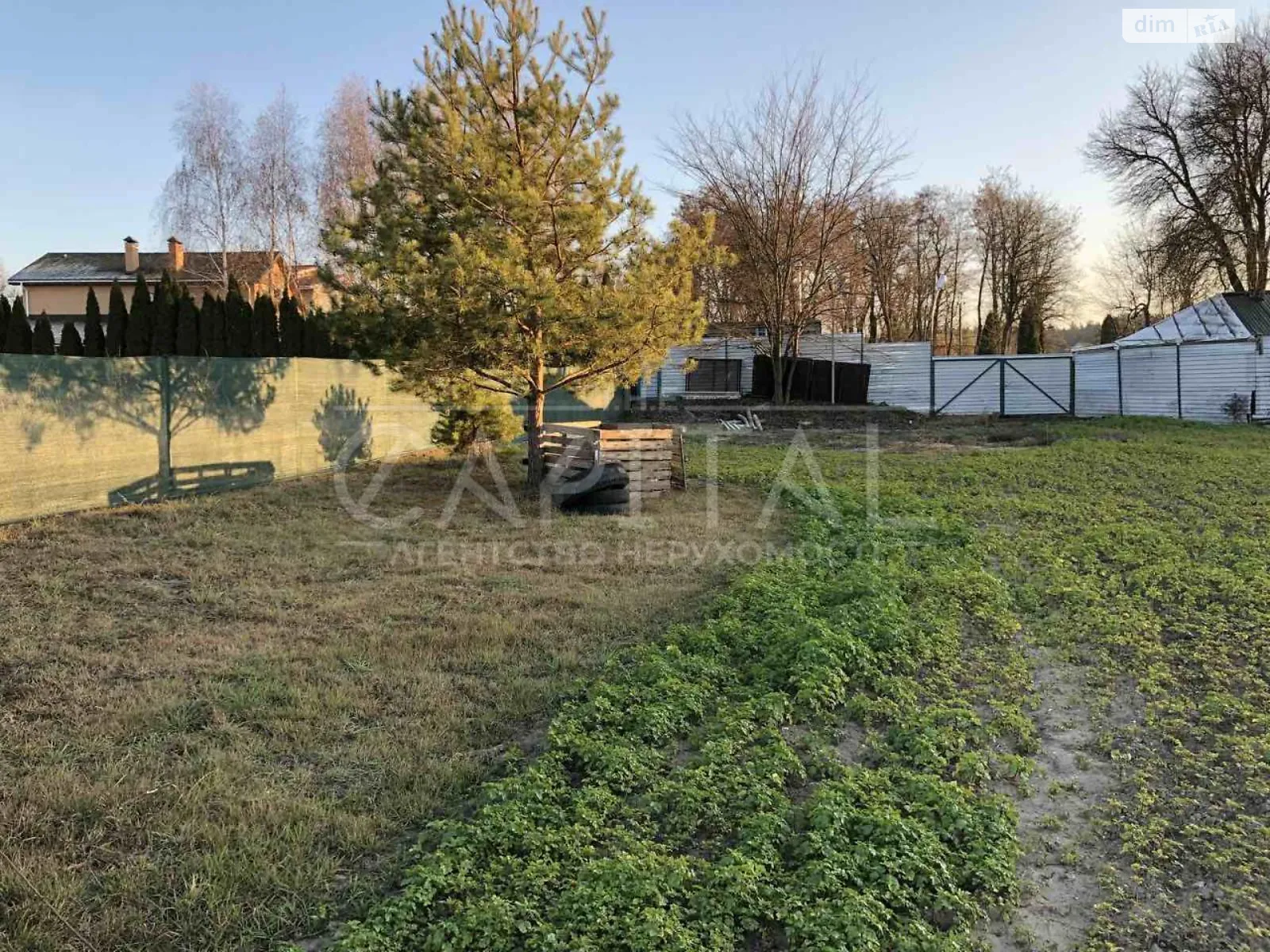 Продается земельный участок 39 соток в Киевской области - фото 2