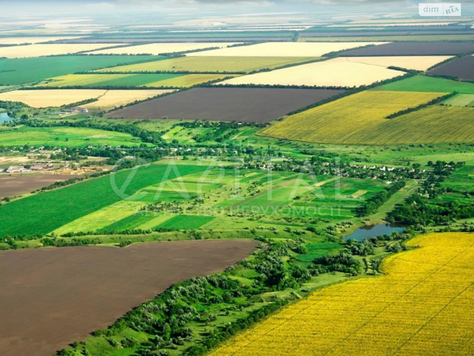 Продається земельна ділянка 50 соток у Київській області, цена: 200000 $ - фото 1