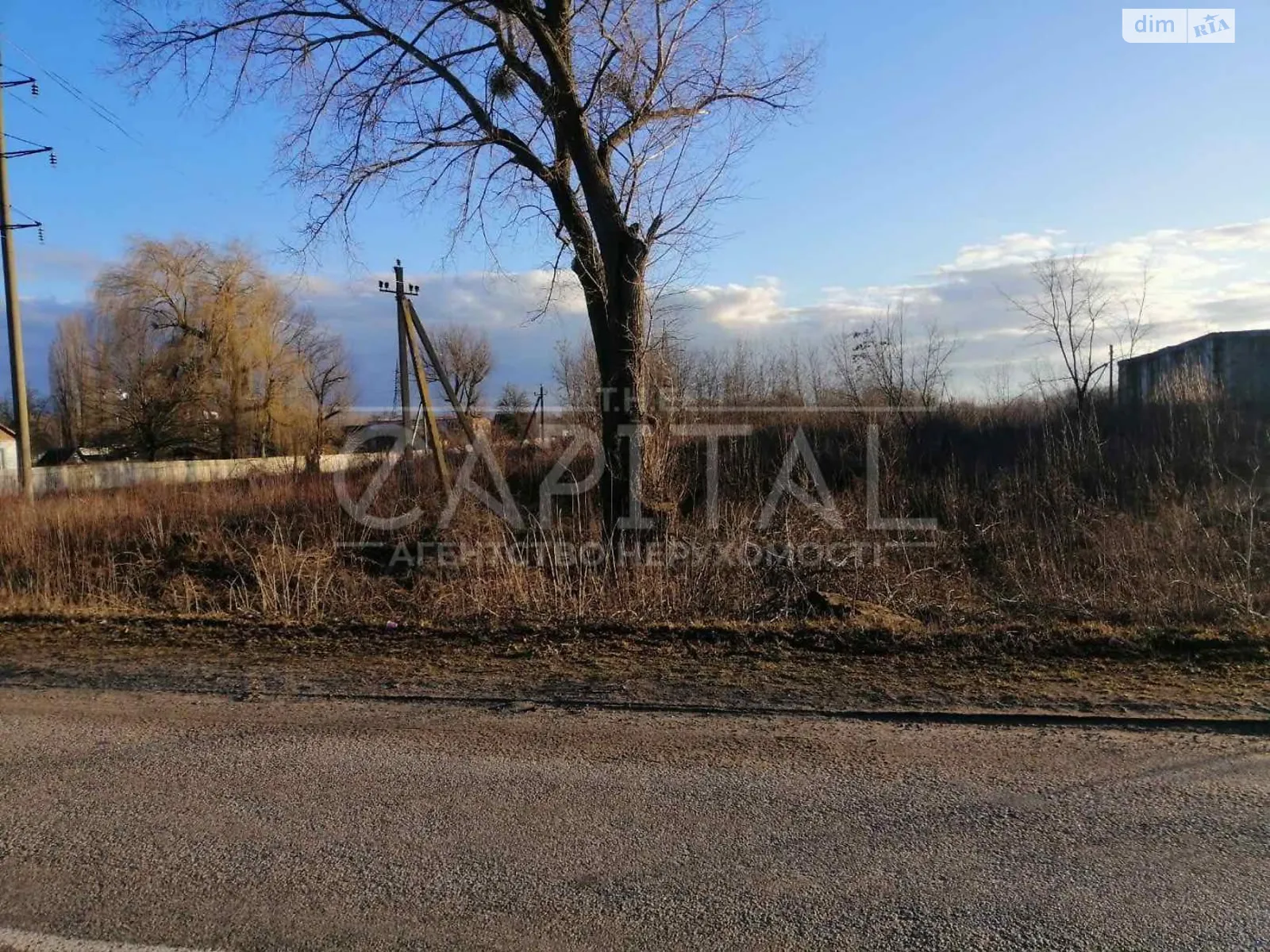 Продается земельный участок 2000 соток в Киевской области - фото 2