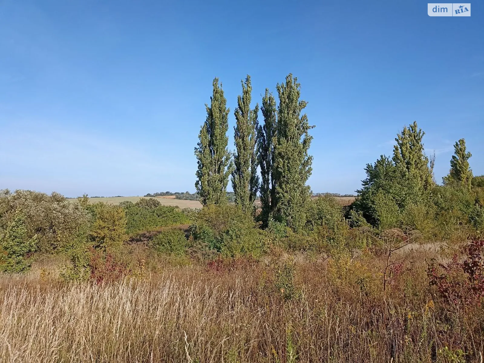 масив Царський Гречаны дальние,Хмельницкий   - фото 3