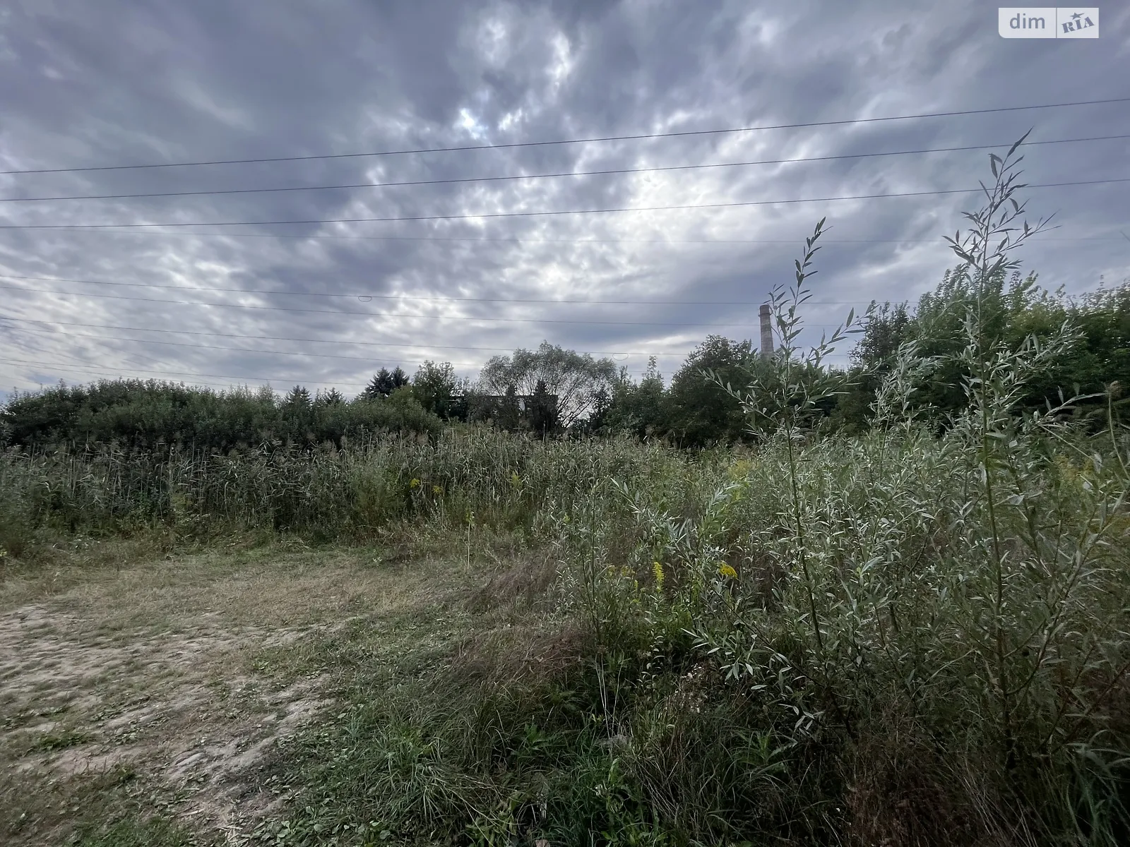 Продається земельна ділянка 55 соток у Хмельницькій області - фото 3