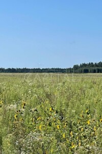 Земельные участки в Иванкове без посредников