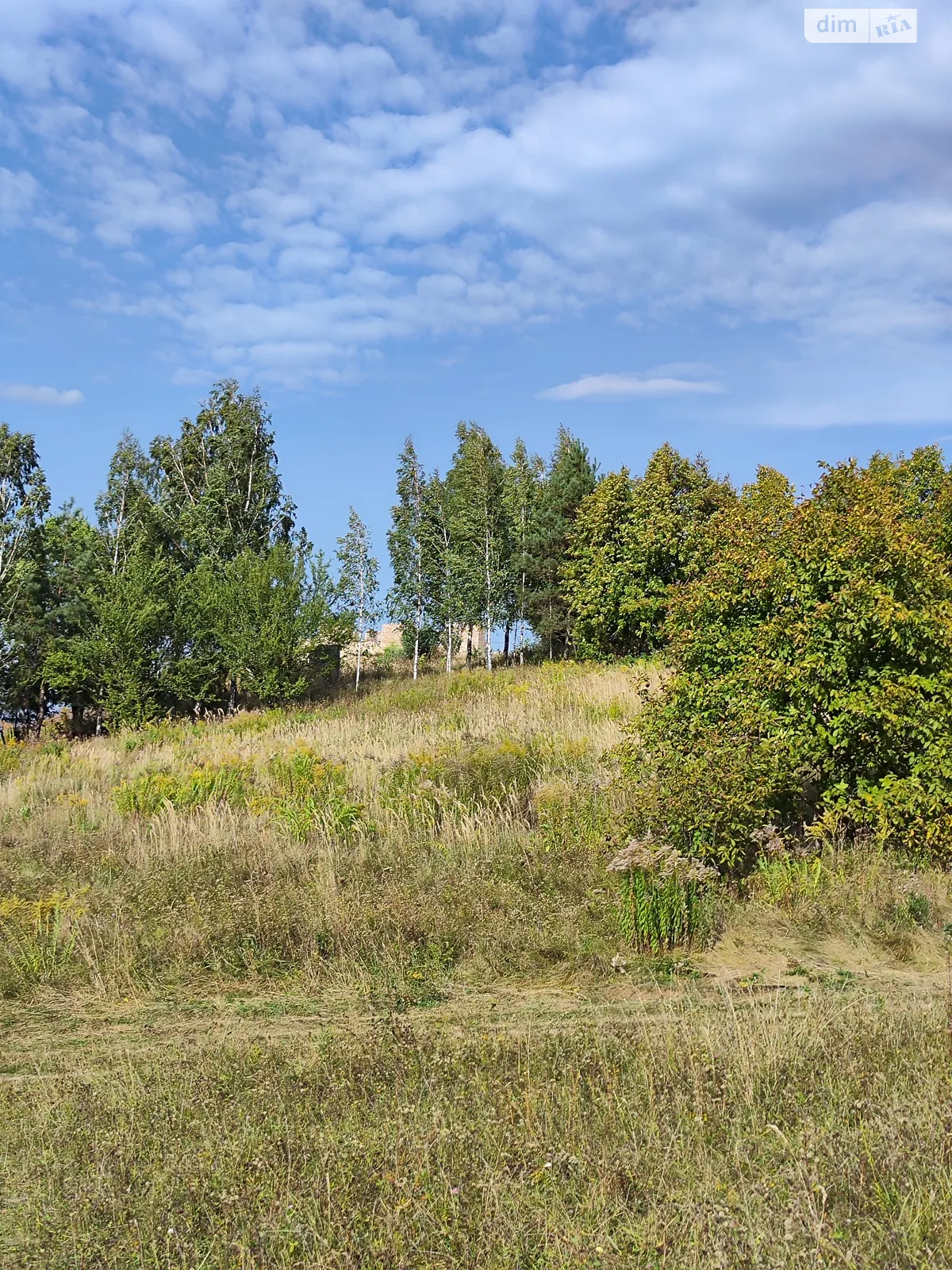 Продається земельна ділянка 25 соток у Рівненській області - фото 2