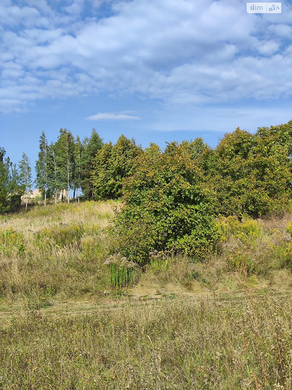 Продается земельный участок 25 соток в Ровенской области - фото 3