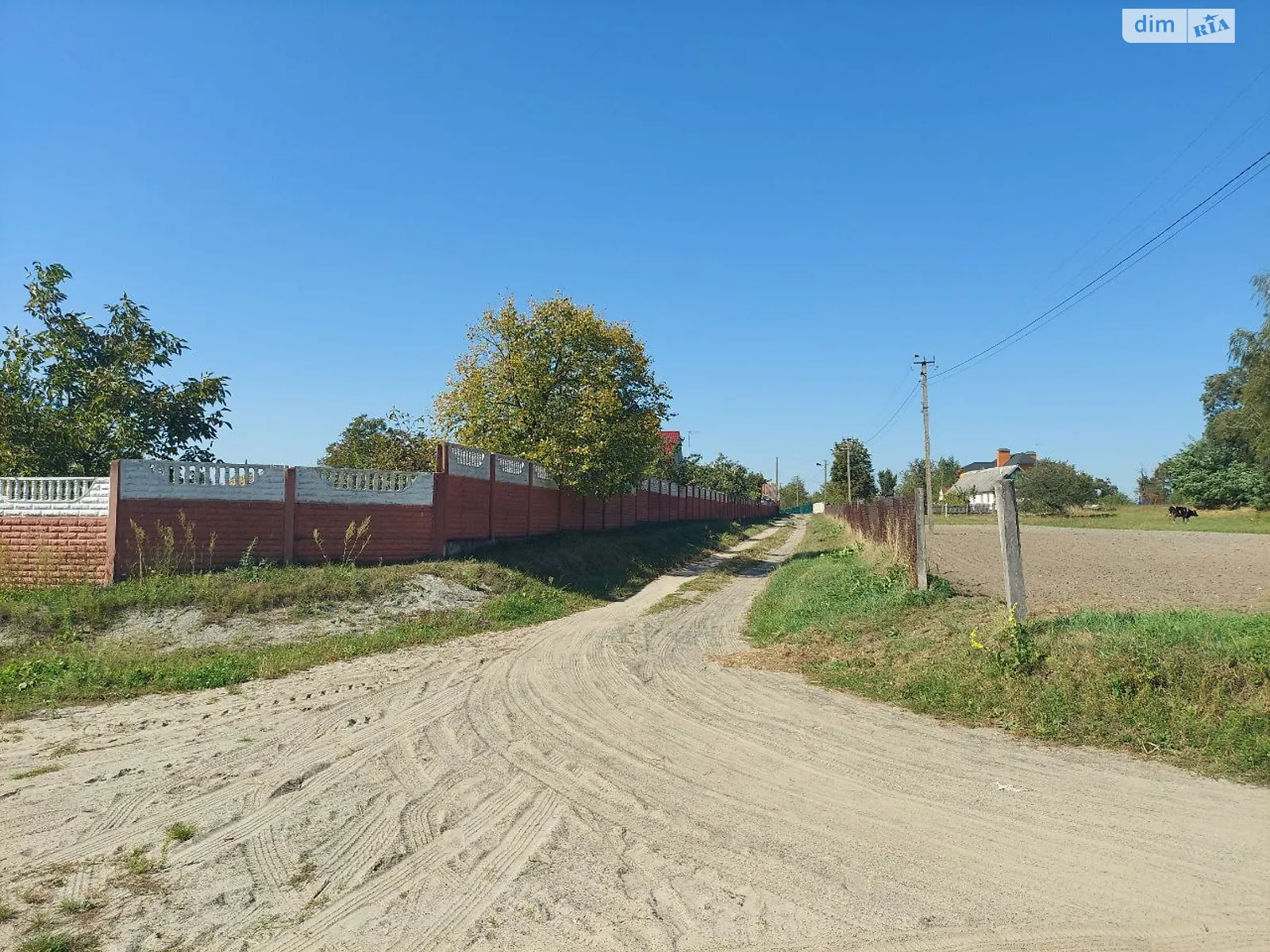 Продається земельна ділянка 39 соток у Житомирській області - фото 2