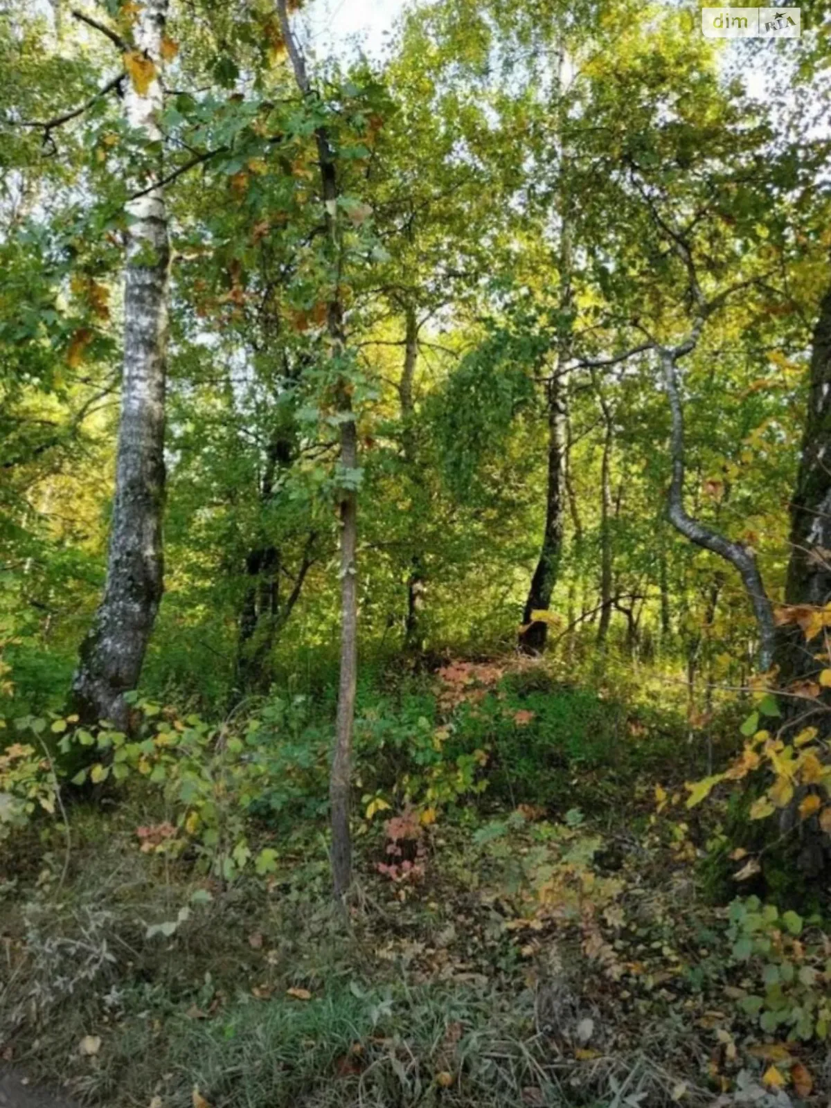 Продается земельный участок 42.36 соток в Львовской области - фото 3