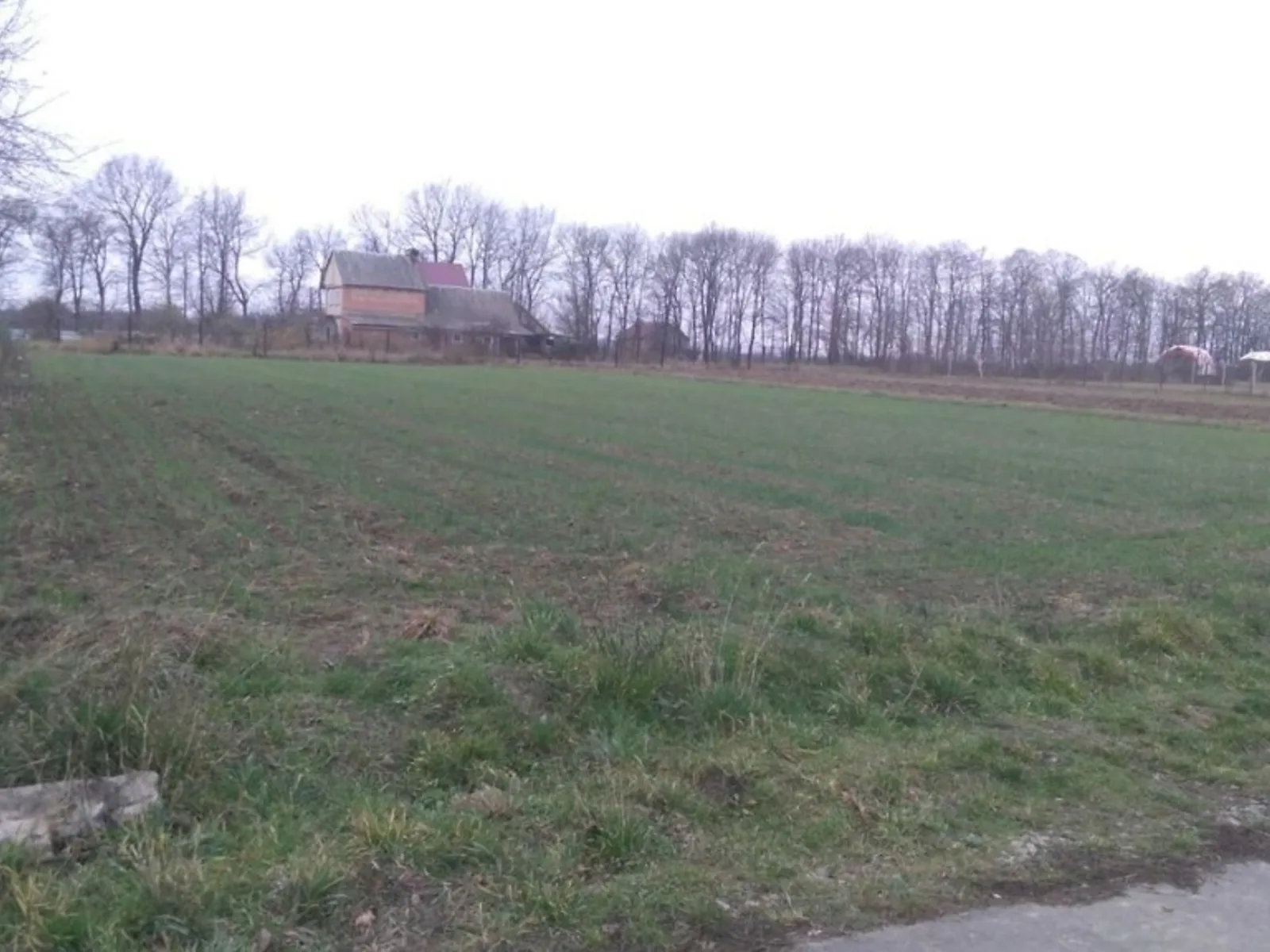 Продается земельный участок 30 соток в Львовской области - фото 2