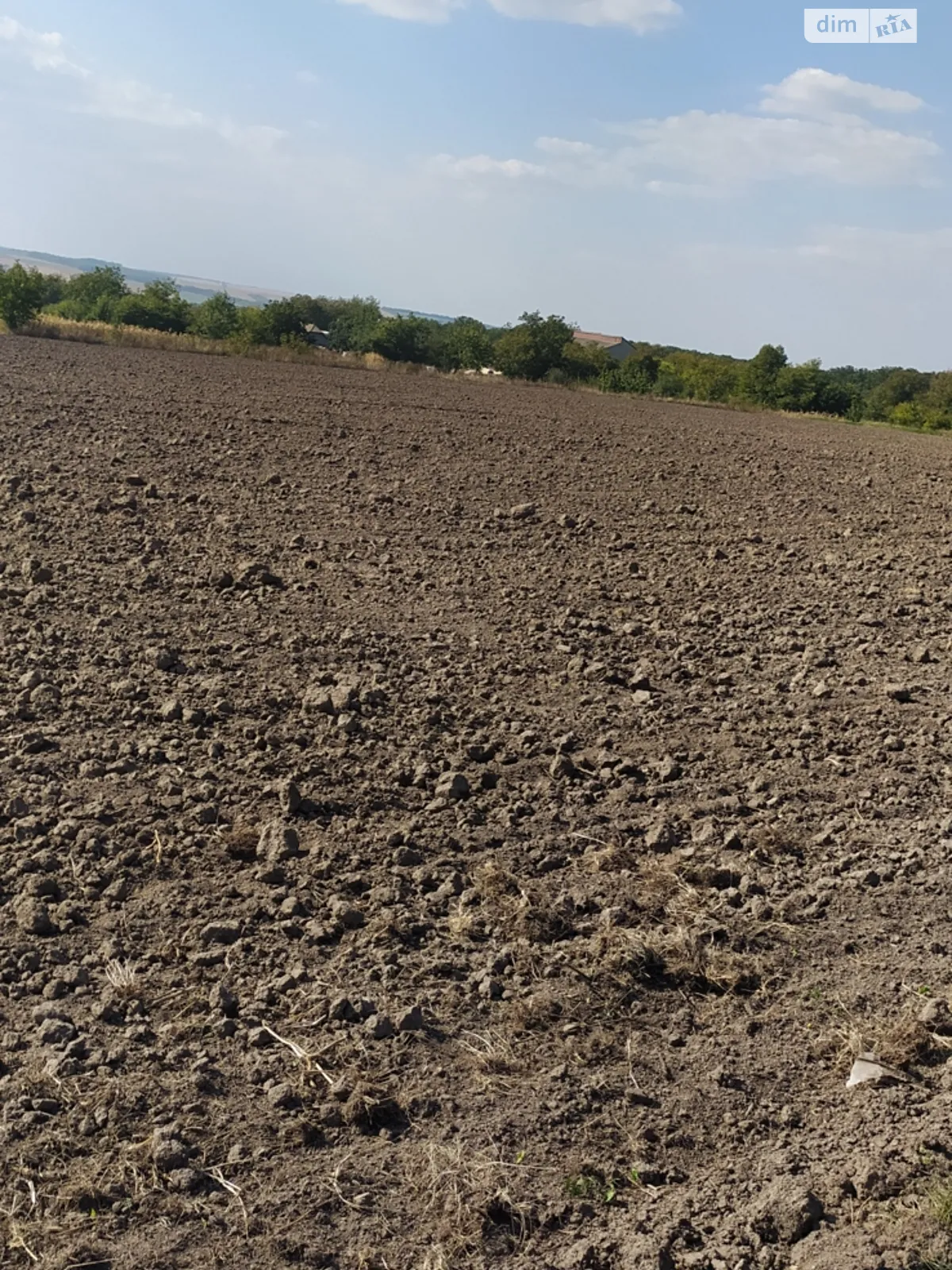 Продається земельна ділянка 25 соток у Хмельницькій області, цена: 2000 $ - фото 1