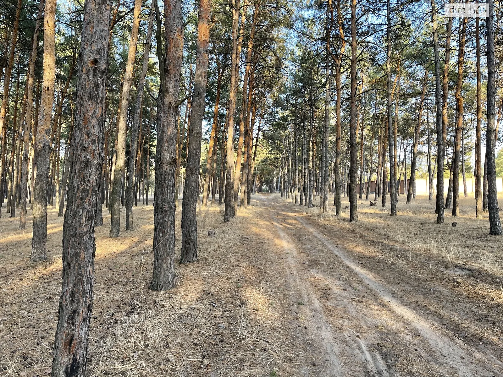 Продається земельна ділянка 17 соток у Миколаївській області, цена: 21999 $