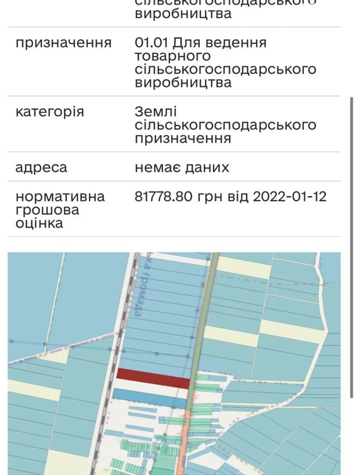 Продается земельный участок 2.4 соток в Закарпатской области - фото 2