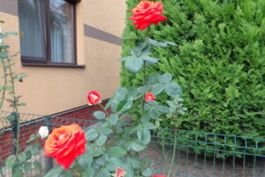 Продажа дома, Ужгород, р‑н. Радванка