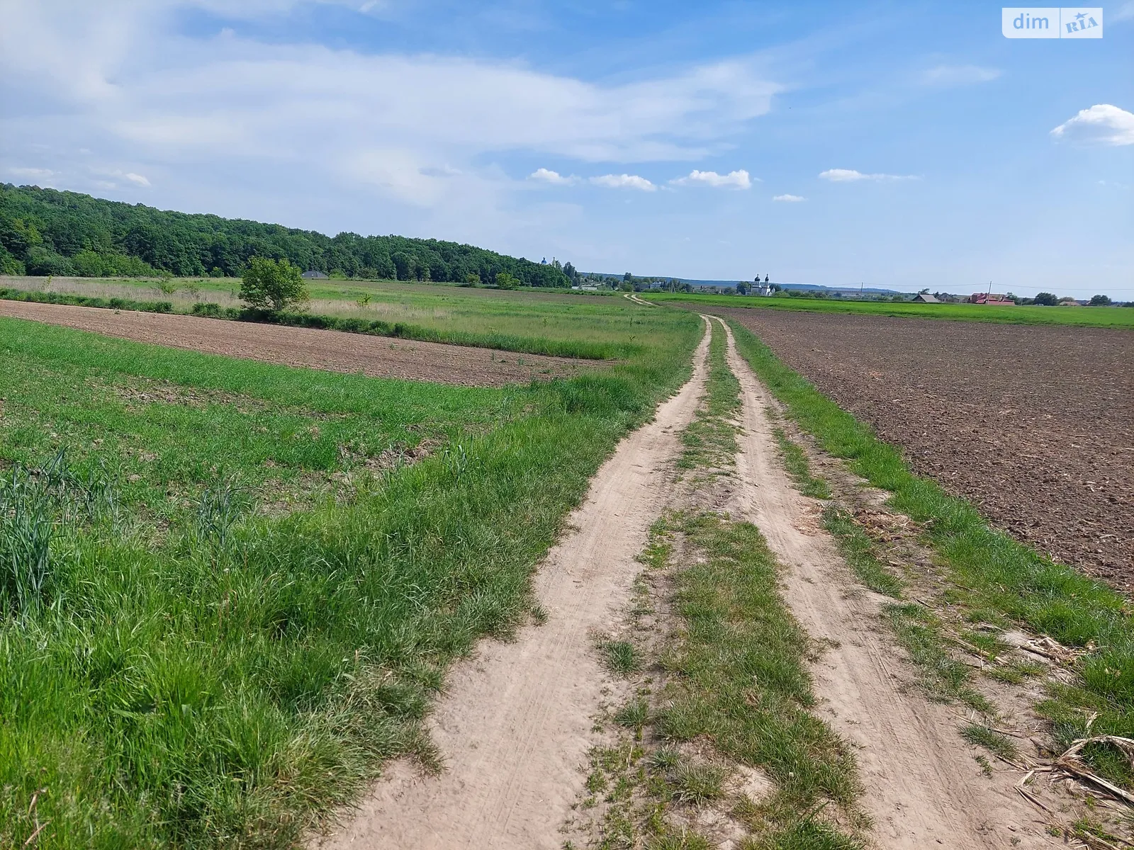 Продается земельный участок 29.5 соток в Ровенской области - фото 2