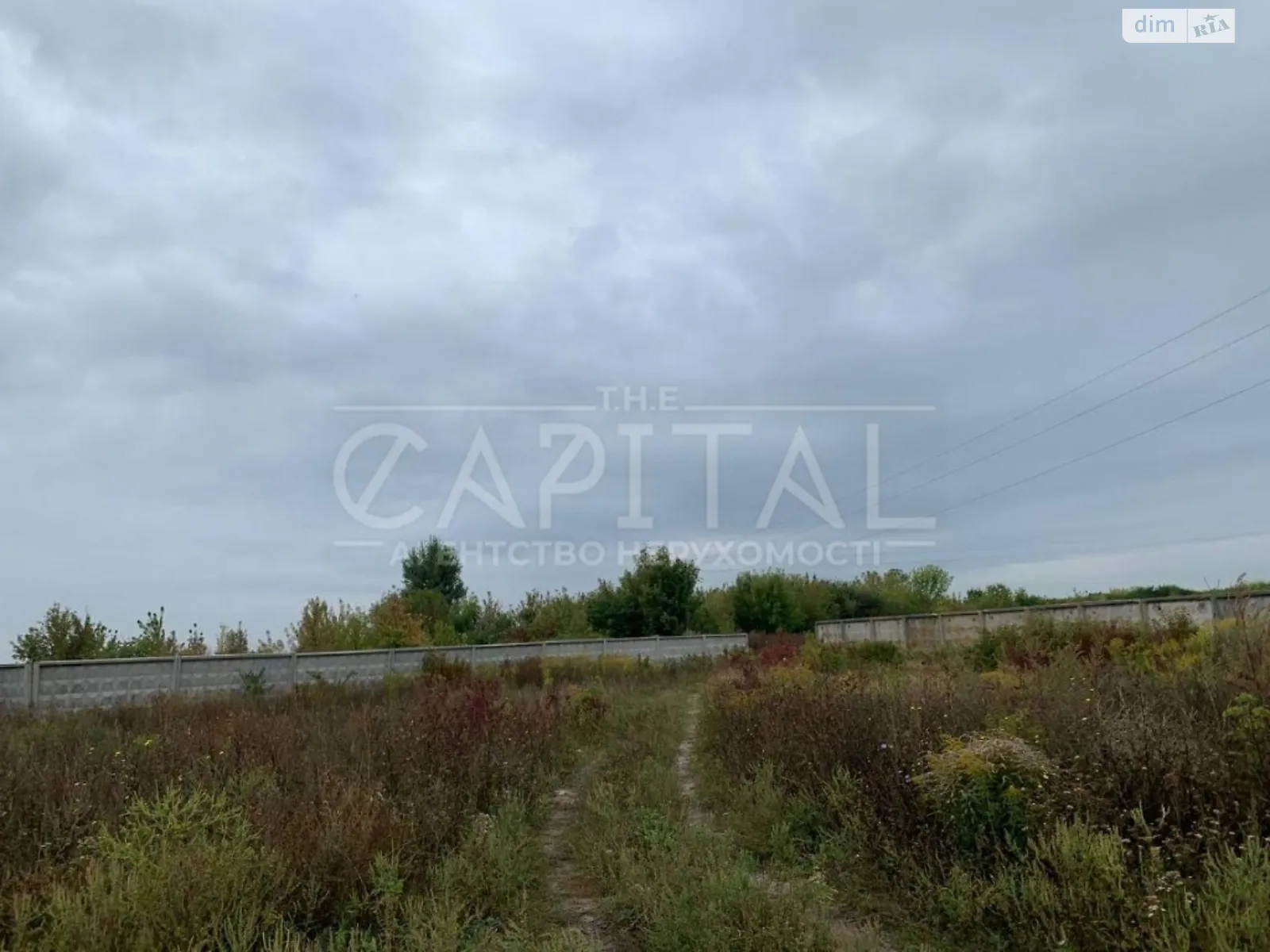 Продается земельный участок 160 соток в Киевской области - фото 3