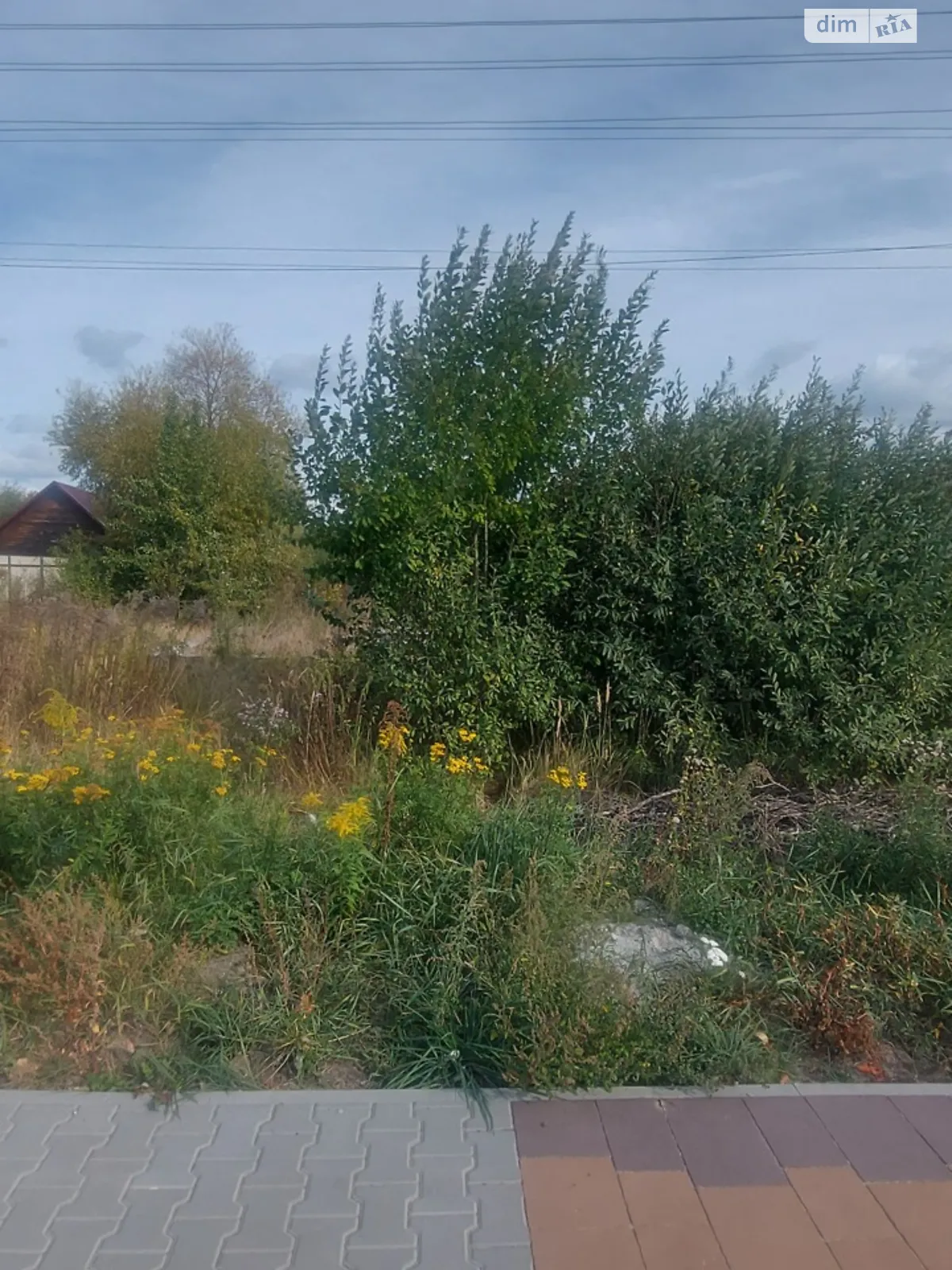 Продается земельный участок 8.3 соток в Житомирской области - фото 3