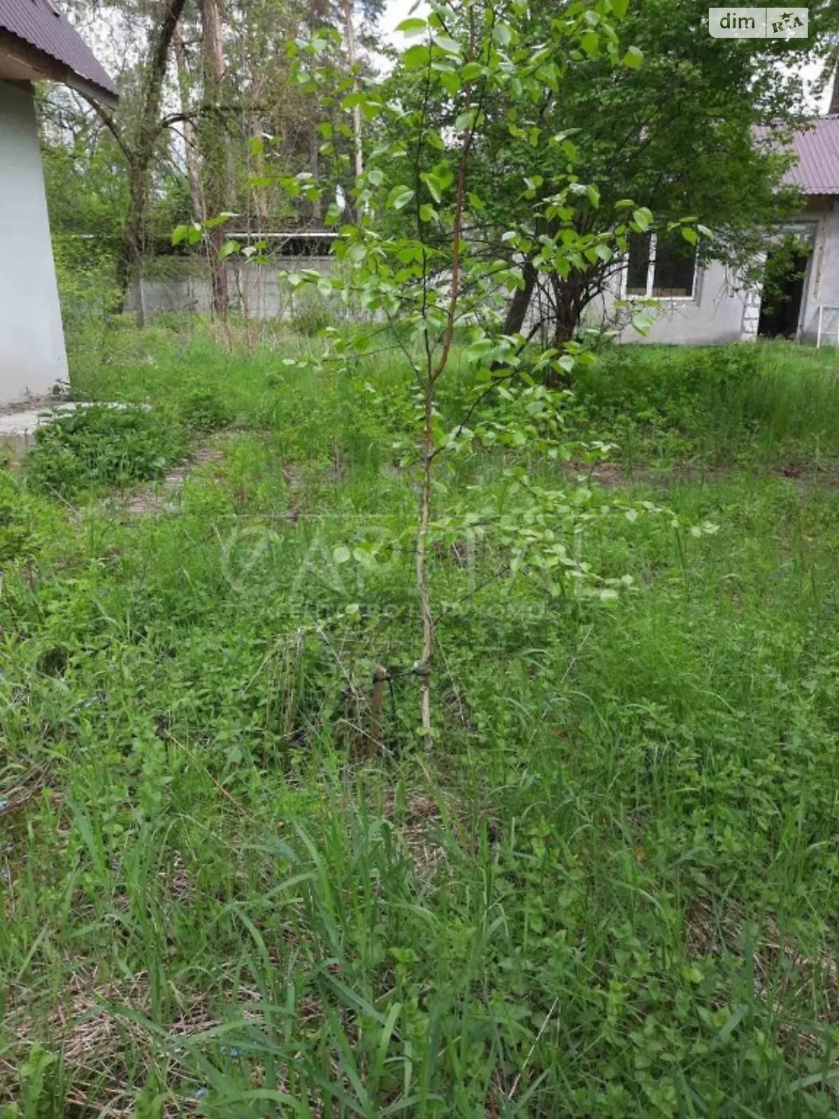 Продается земельный участок 405 соток в Киевской области - фото 2