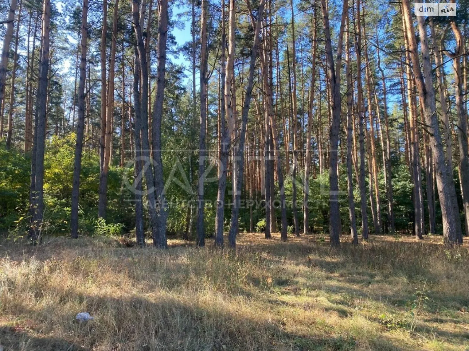 Продается земельный участок 30 соток в Киевской области, цена: 213000 $ - фото 1