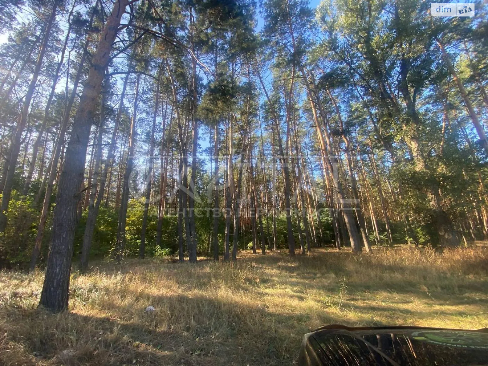 Продается земельный участок 30 соток в Киевской области, цена: 213000 $