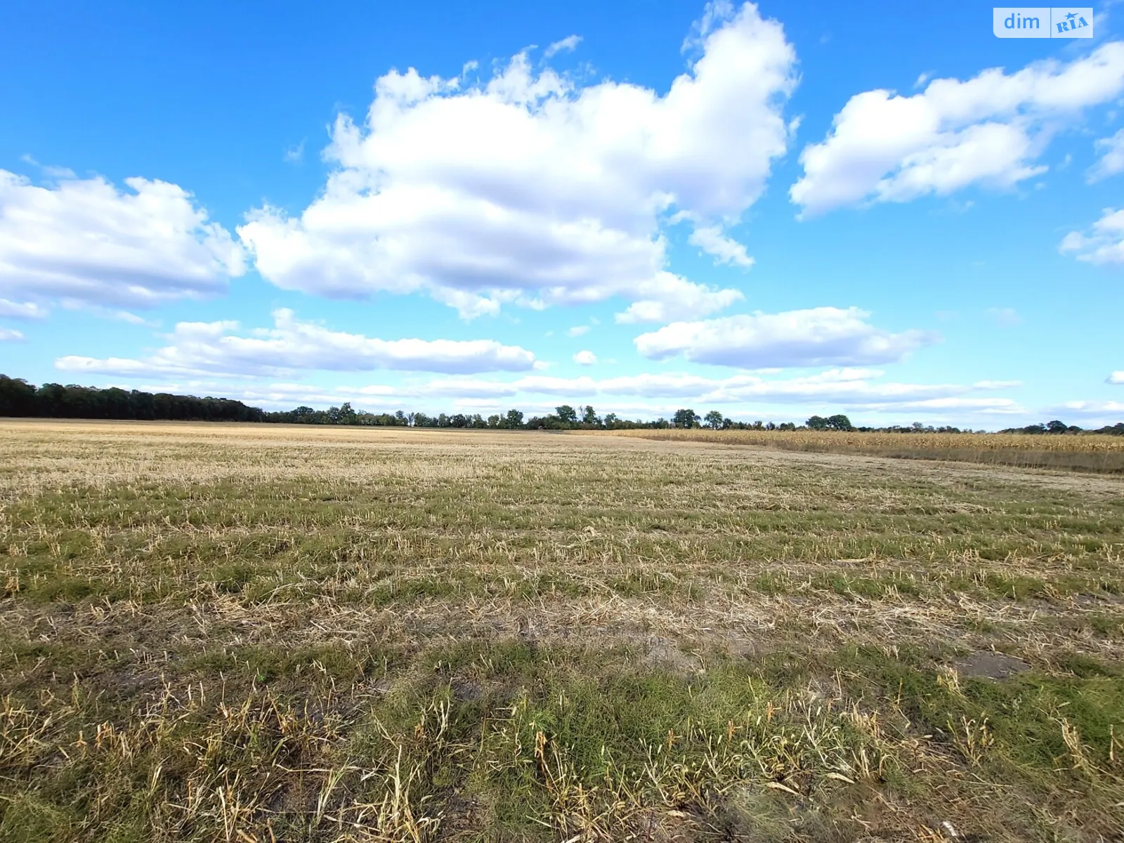 Продается земельный участок 137 соток в Винницкой области - фото 2