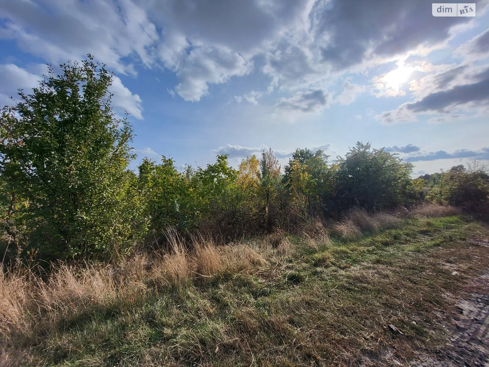 Продается земельный участок 2.14 соток в Винницкой области - фото 4