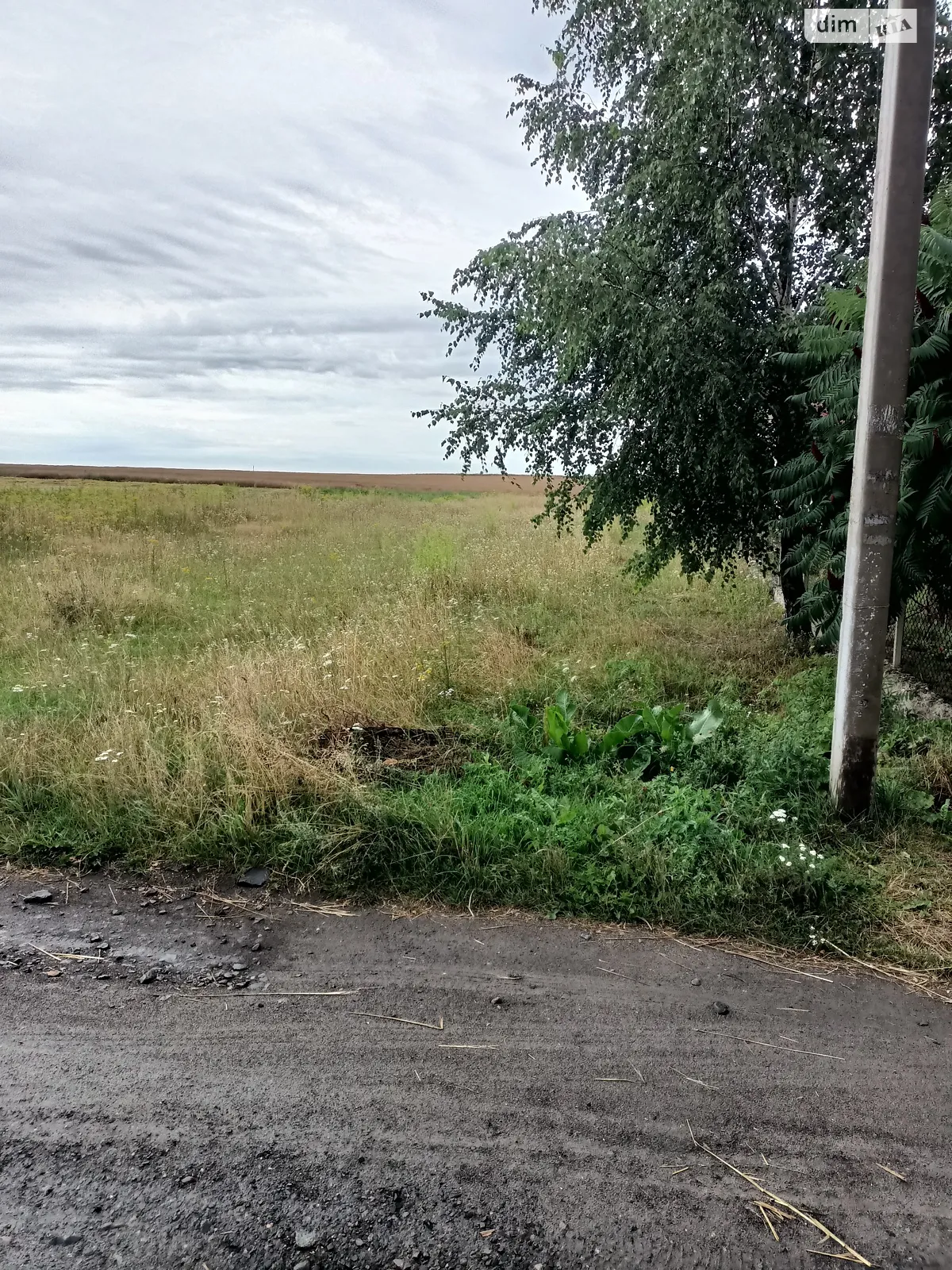 Продается земельный участок 18 соток в Волынской области - фото 4