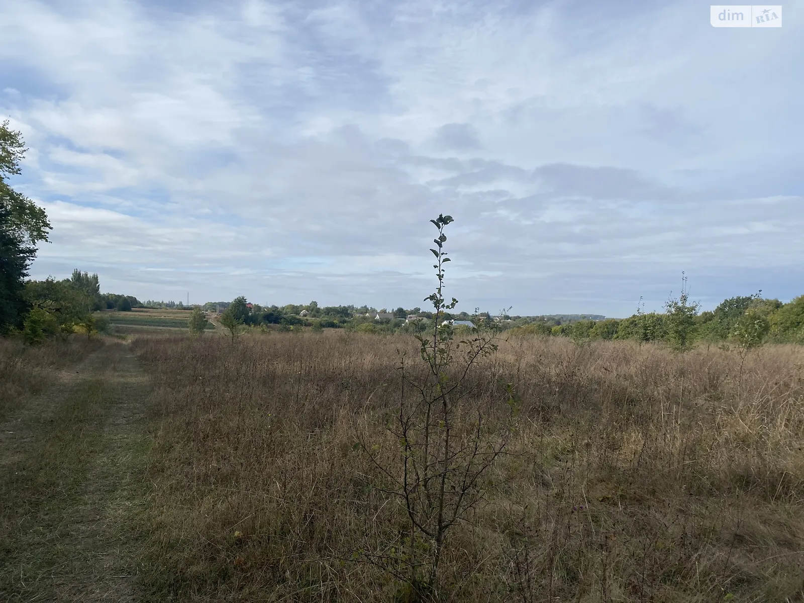 Продается земельный участок 84.6 соток в Винницкой области - фото 3