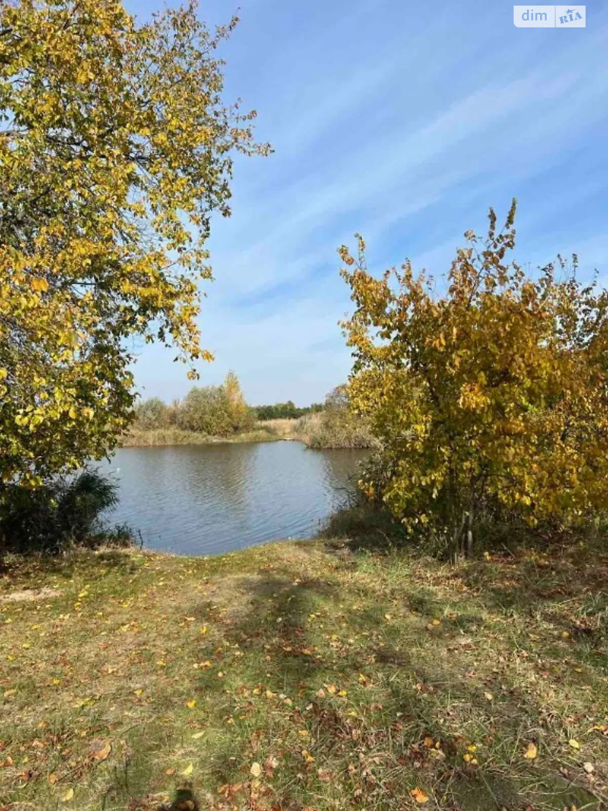 Новоселівка, цена: 175000 $ - фото 1