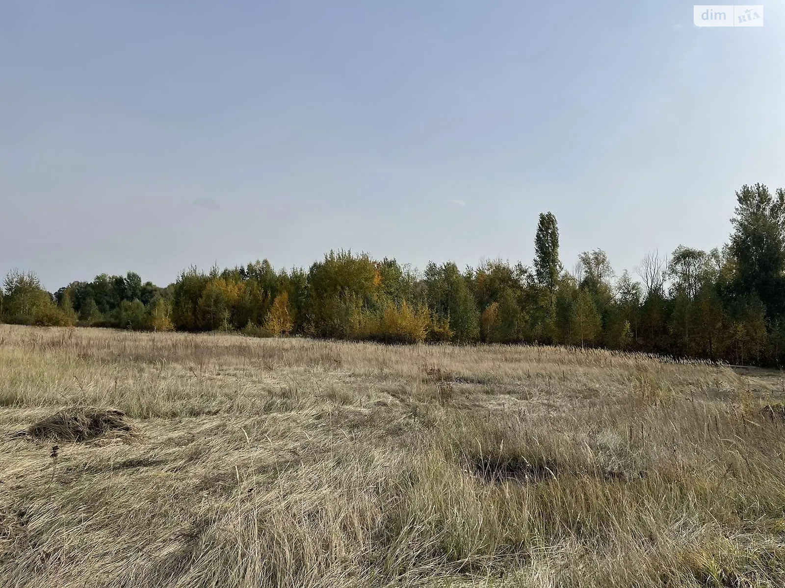 Продается земельный участок 39 соток в Киевской области - фото 3