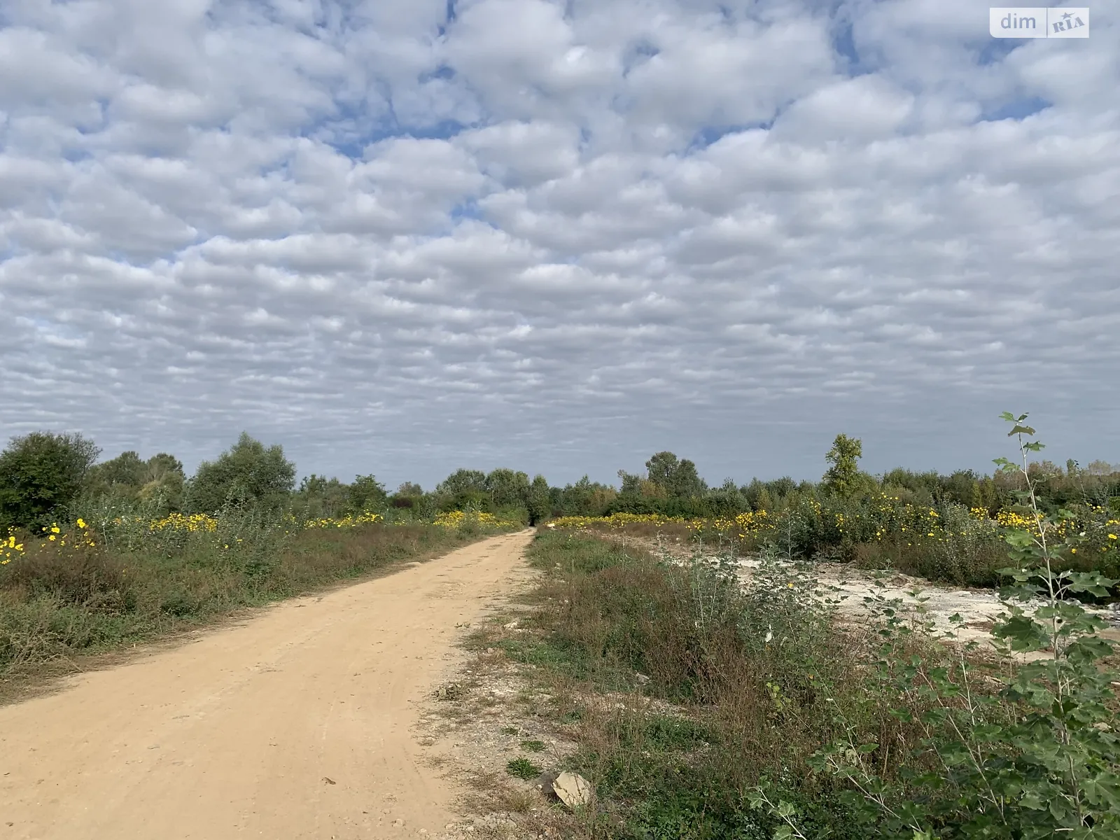 Продається земельна ділянка 70 соток у Закарпатській області, цена: 145000 $