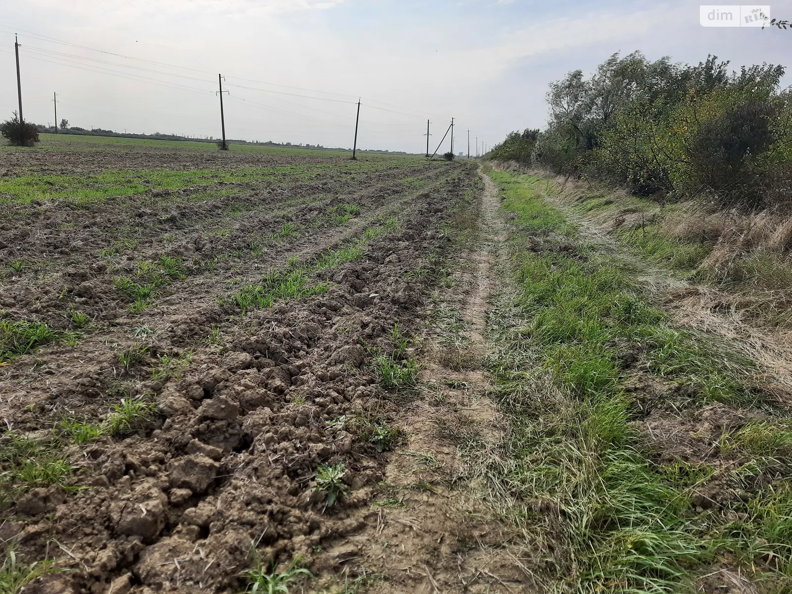 Продается земельный участок 159 соток в Закарпатской области - фото 3