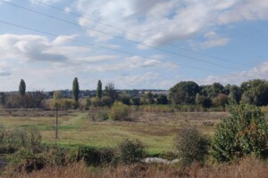Куплю земельный участок в Богуславе без посредников