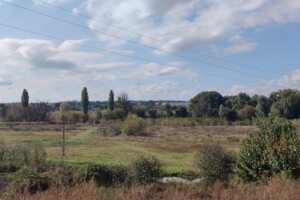 Куплю земельный участок в Полесском без посредников