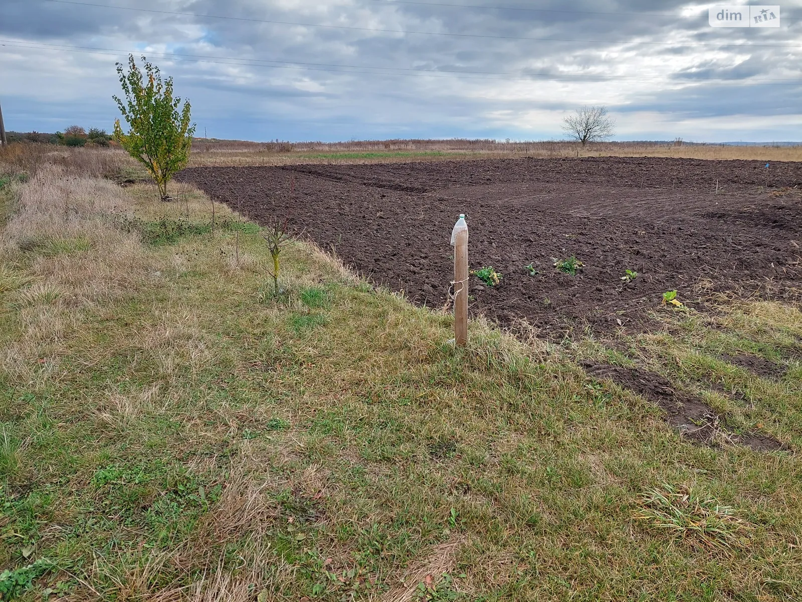 Продается земельный участок 12 соток в Ровенской области - фото 3