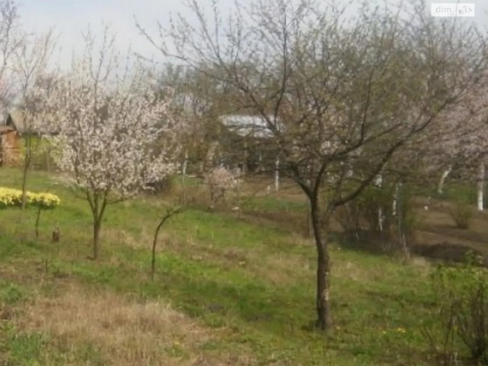 Ковель, цена: 2500 $ - фото 1