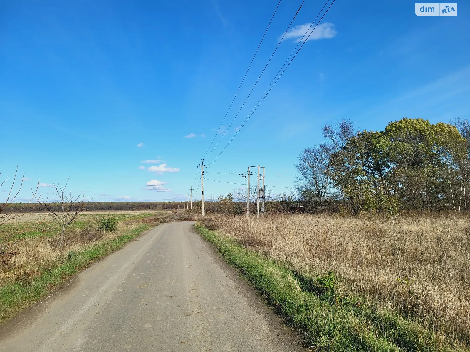 Продается земельный участок 30 соток в Винницкой области - фото 3
