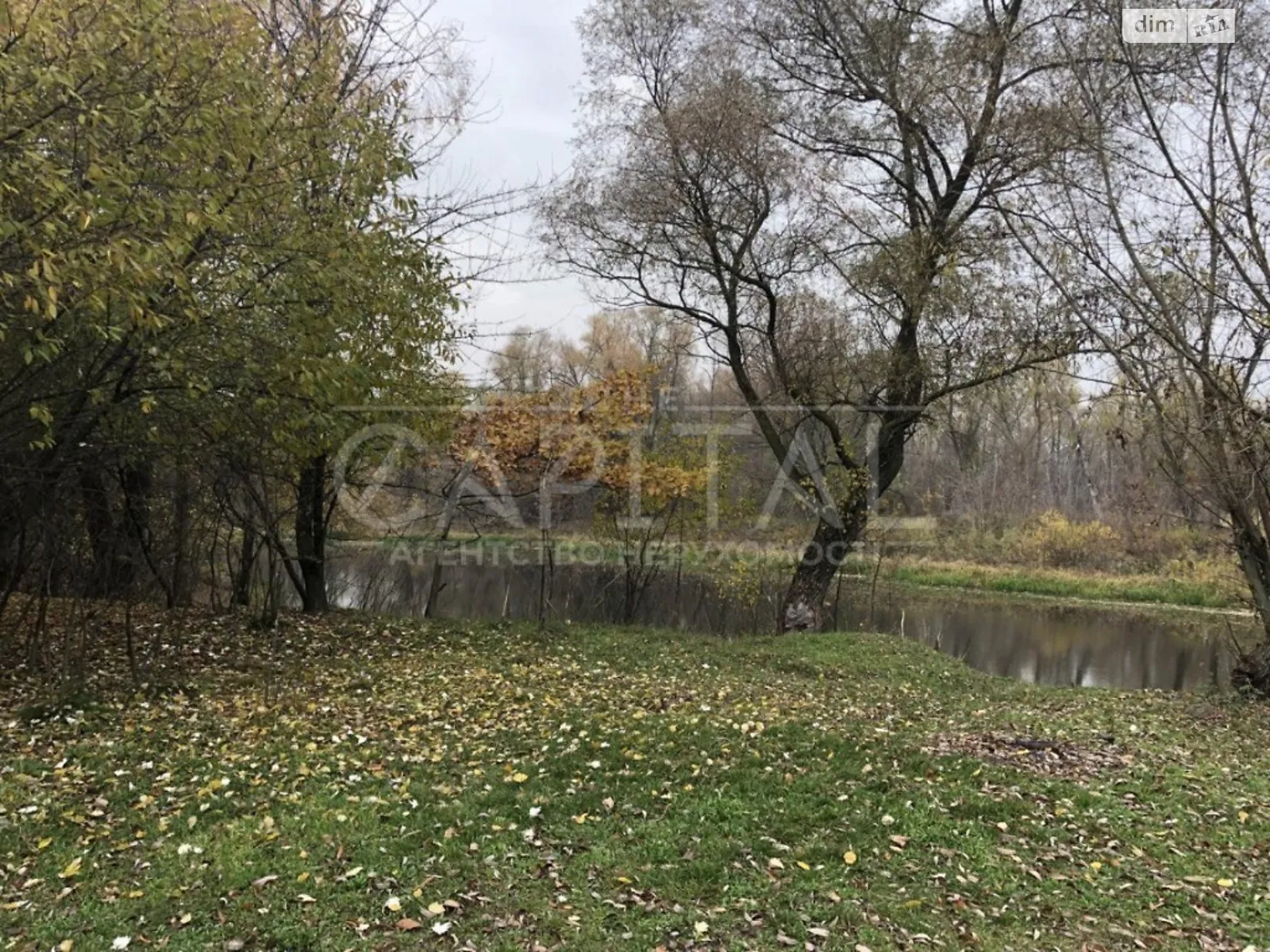 Продается земельный участок 24 соток в Киевской области - фото 2