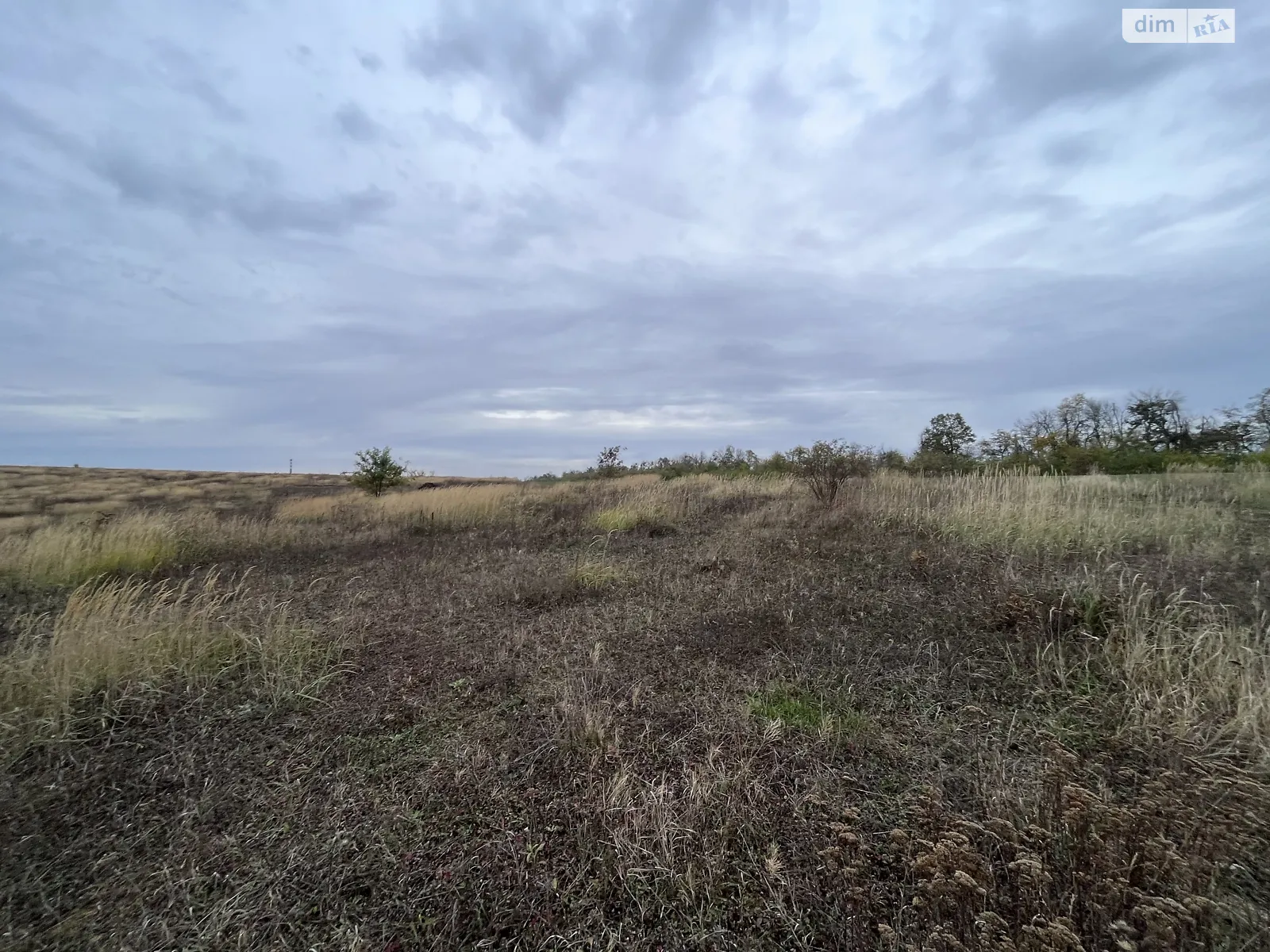 ул. Лесная Лесовые Гриновцы, цена: 5000 $ - фото 1