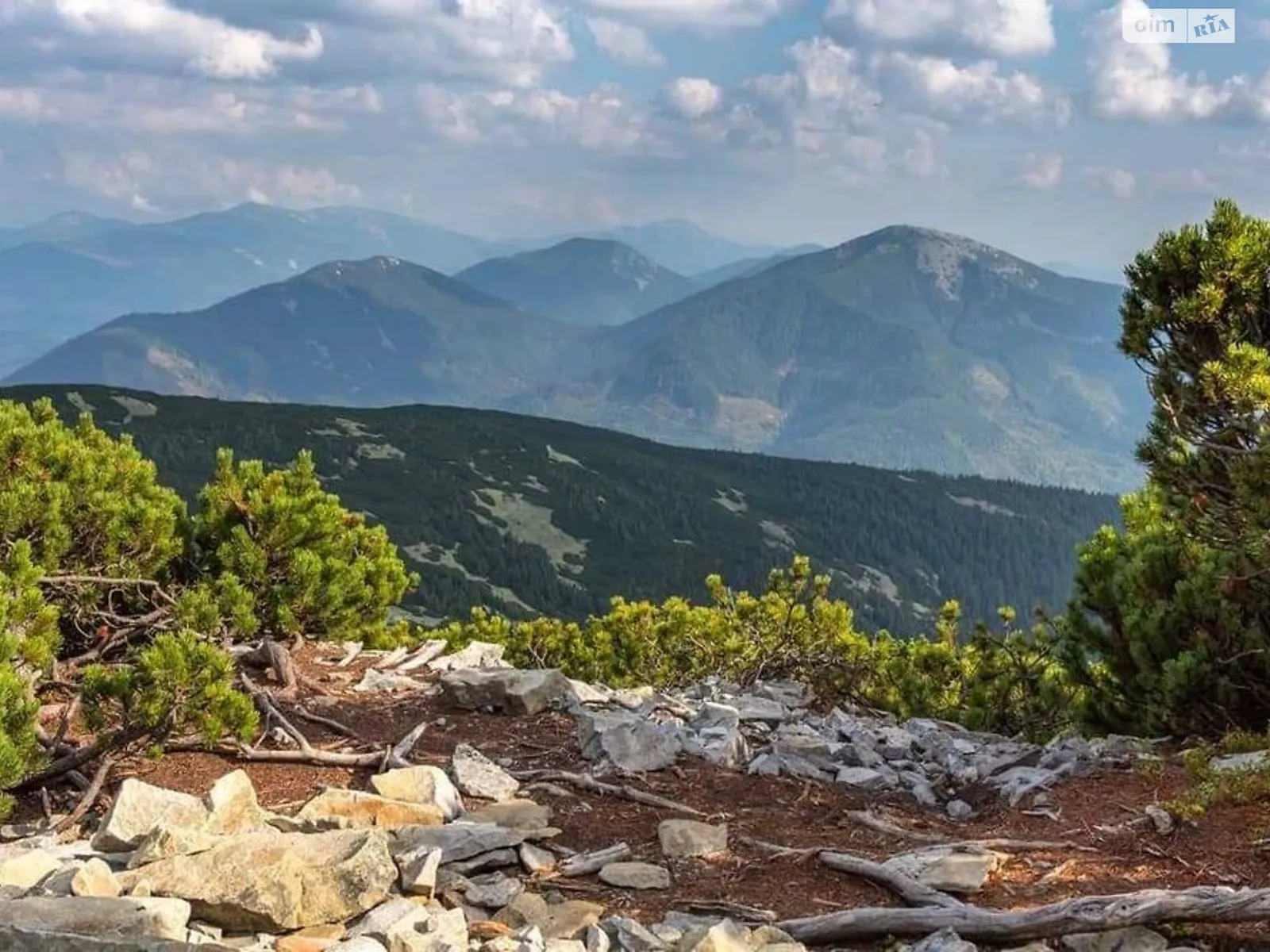 Продается земельный участок 12 соток в Ивано-Франковской области, цена: 50000 $ - фото 1