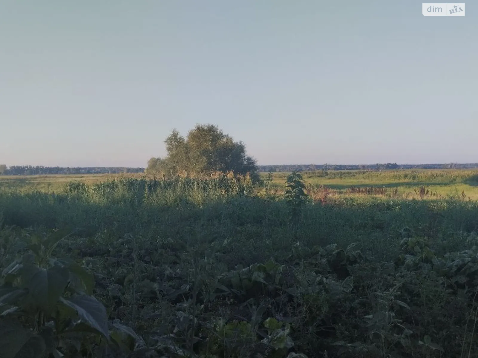 ул. Александра Найды(Куйбышева) Чигирин, цена: 29000 грн - фото 1