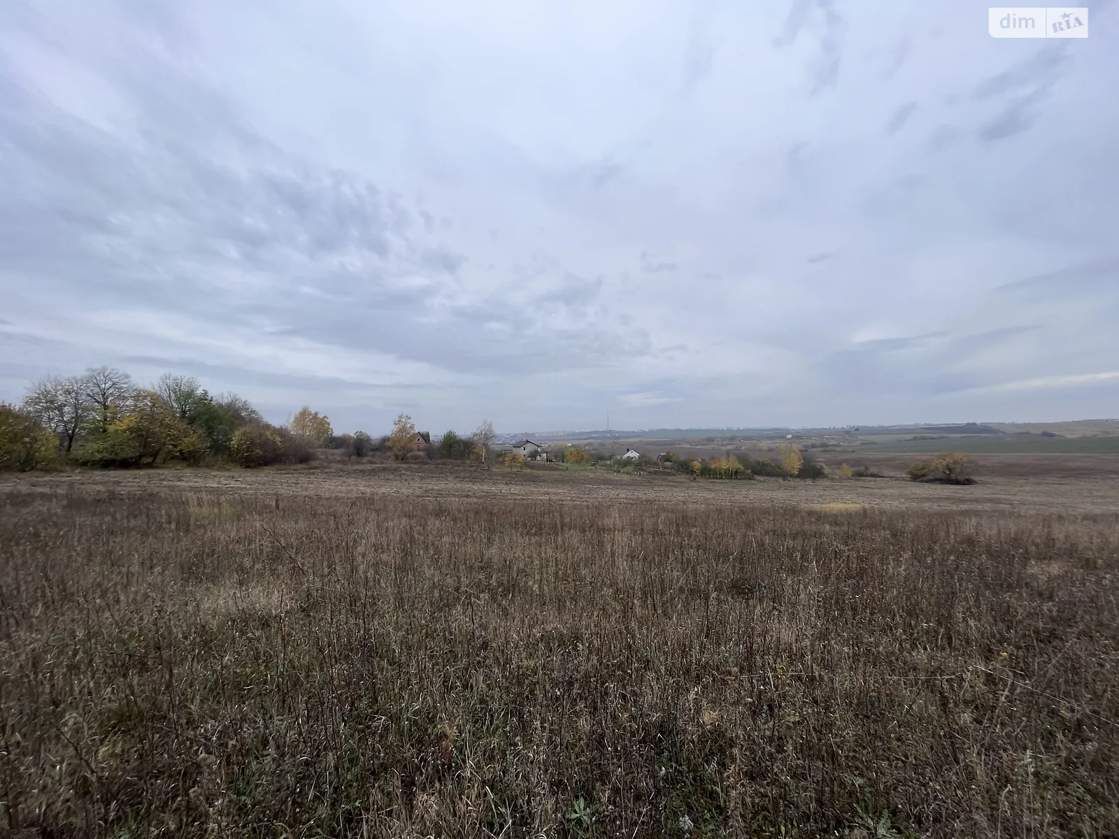 околицях Лісових Гринівців східна сторона Лесовые Гриновцы, цена: 18000 $