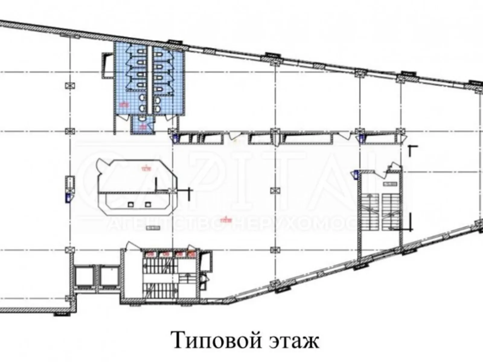 Сдается в аренду офис 800 кв. м в бизнес-центре - фото 3