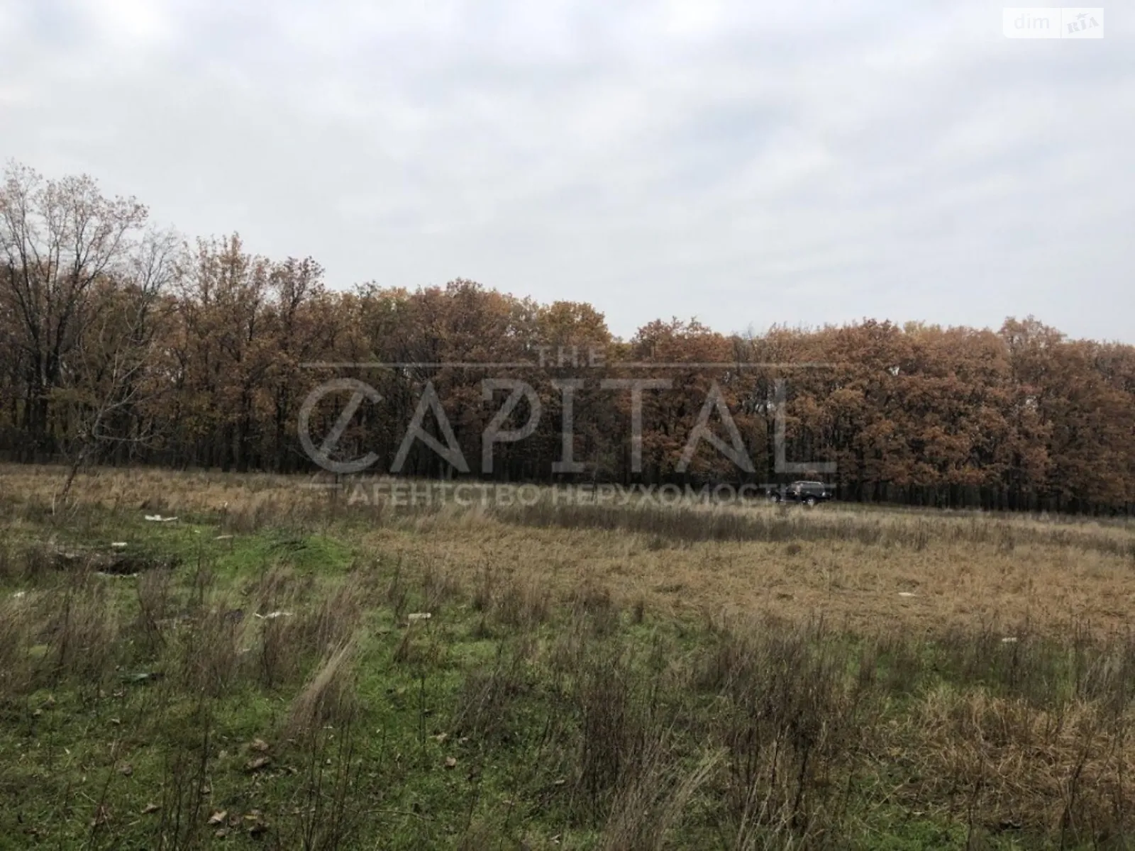 Продается земельный участок 24 соток в Киевской области, цена: 78000 $