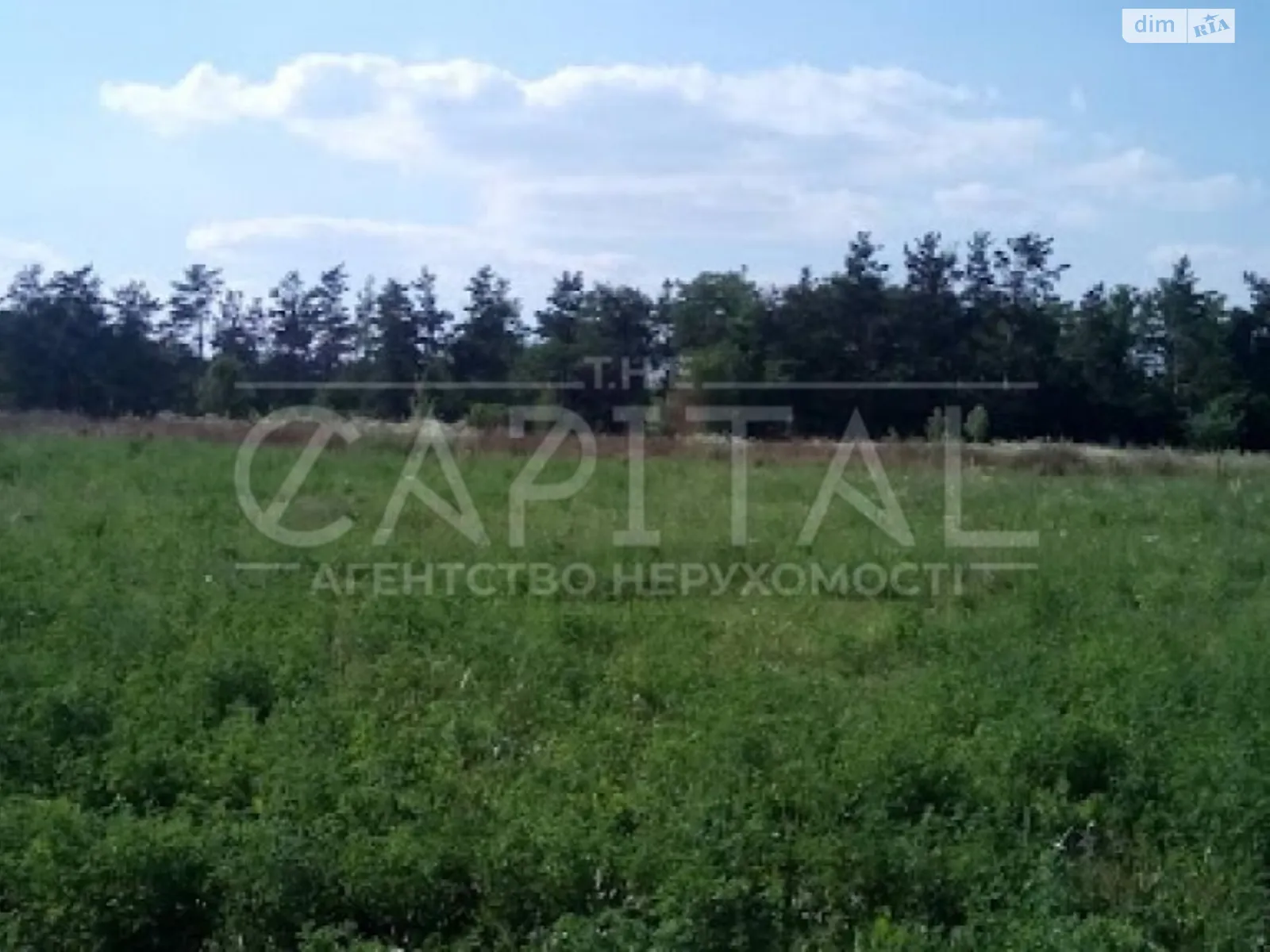 Продається земельна ділянка 69 соток у Київській області - фото 2